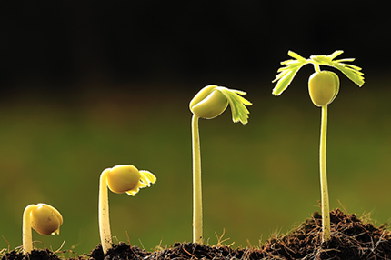 mg冰球突破·豪华版(试玩)官方网站