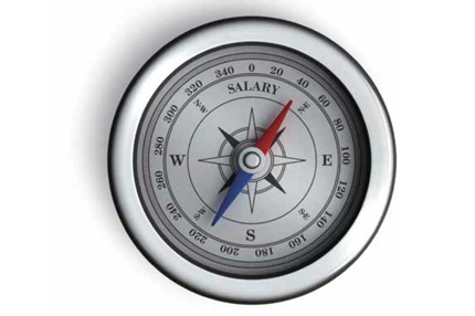 2015薪酬视察报告   