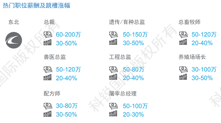 mg冰球突破·豪华版(试玩)官方网站