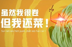 FRIDAY专栏 | 2022：：一个卷心菜的自白