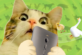 FRIDAY专栏 | 被憋疯的职场人，，养起了猪牛羊鱼鸟...