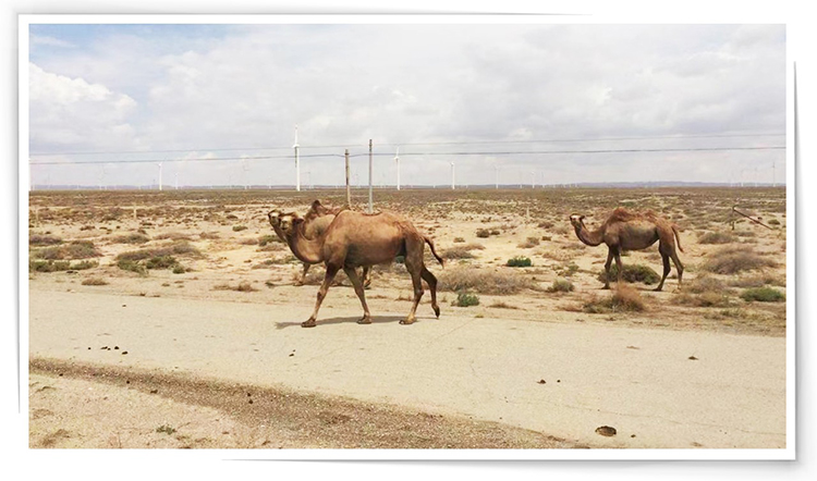 mg冰球突破·豪华版(试玩)官方网站